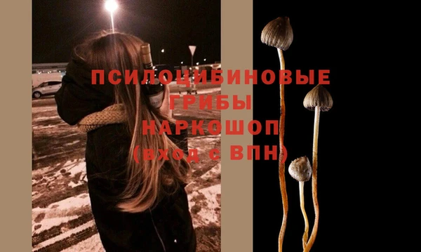 ешки Верхний Тагил