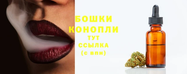 гидропоника Бронницы