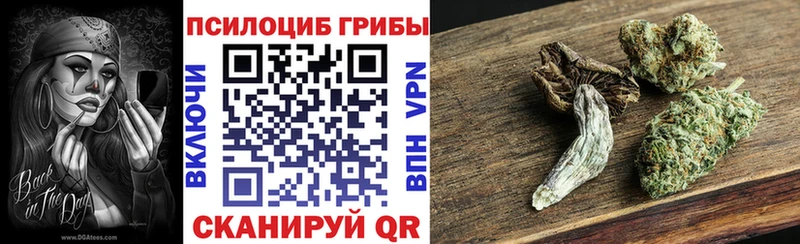 Псилоцибиновые грибы Cubensis  даркнет сайт  Грайворон 